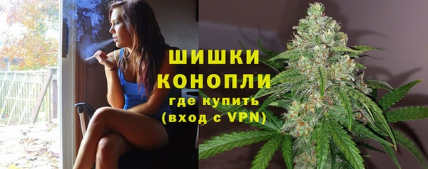 ГАЛЛЮЦИНОГЕННЫЕ ГРИБЫ Балахна