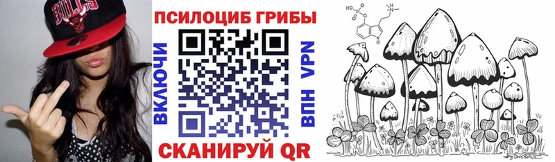 где продают   Светогорск  Псилоцибиновые грибы GOLDEN TEACHER 